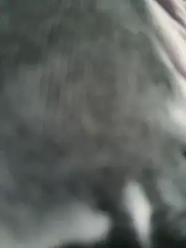 Soft_Pleasure webcam