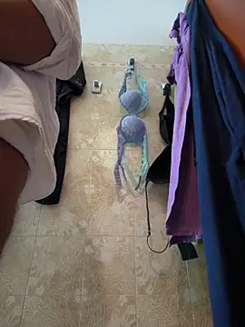 SecretlyDD webcam