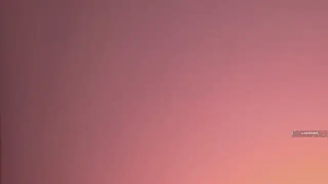 Piafisher_2 webcam