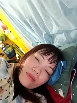 Sana-vn webcam