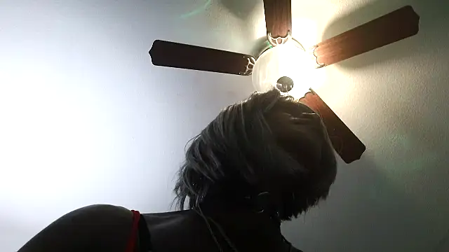 Preview of jackie_silverfoxcd