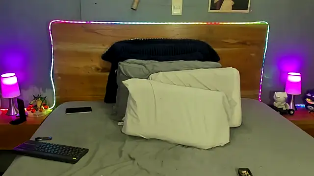 Prometeo-grizzly webcam