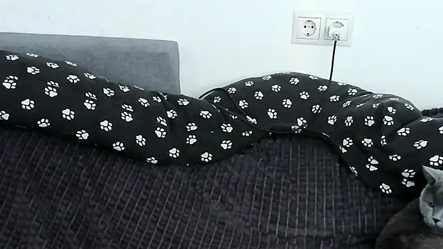 Dark_Moni webcam