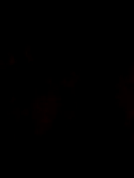 S7LEALTADPERVLIMA7 webcam