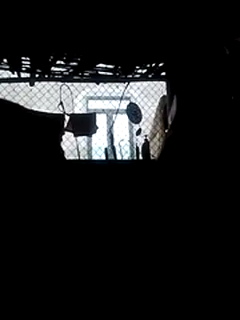 Blaze_Luna webcam