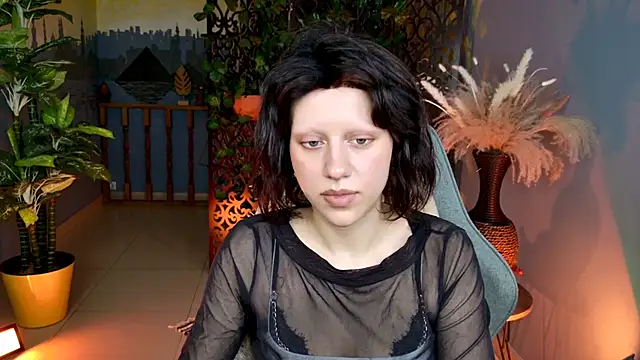 LidaDarknet webcam