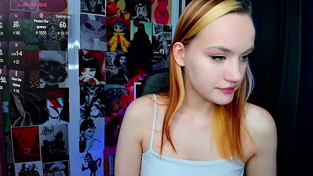 Ida_FaneStain webcam