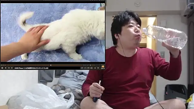 raterate555 webcam