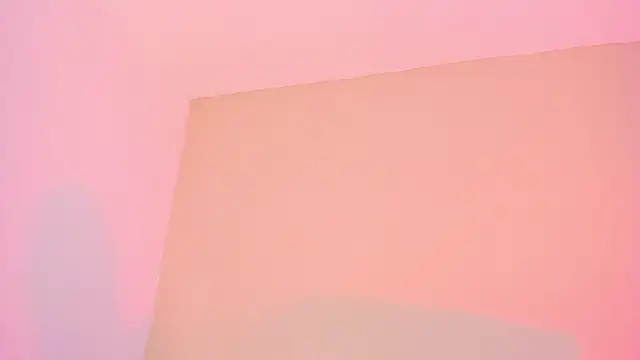 MIAA_ROBERTSS webcam