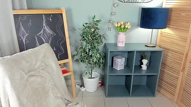 nortellii webcam