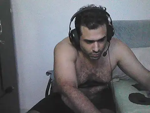 IronSideBear webcam