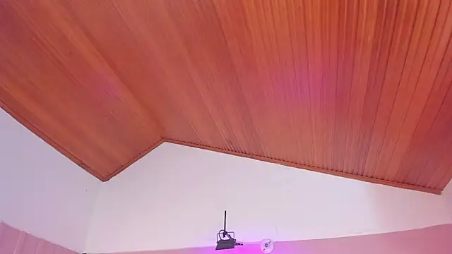 izumi_mei webcam