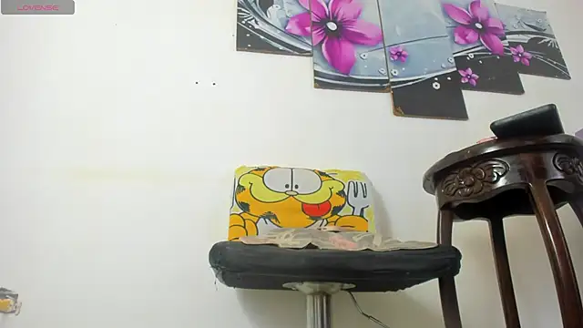 baiolethX webcam