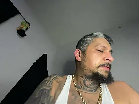 Vision1285 webcam