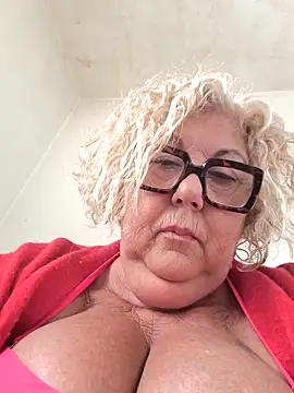 Merilulla webcam