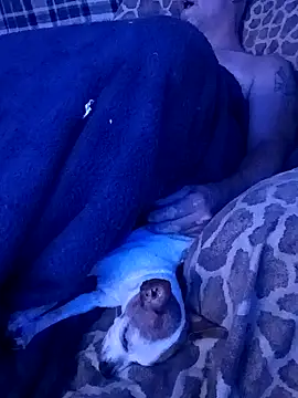 Preview of therepoman69