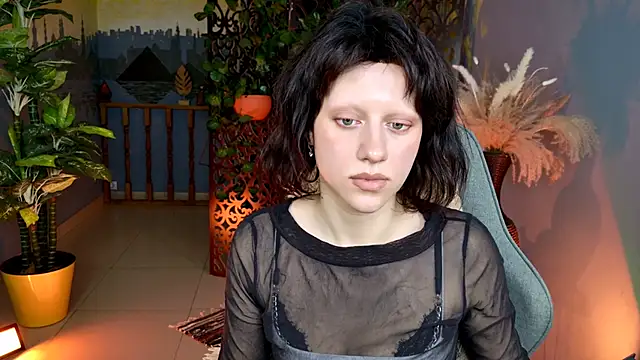 LidaDarknet webcam
