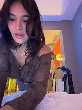 DarkDesin webcam