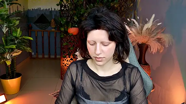 LidaDarknet webcam