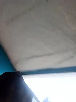 Deepjakolirr webcam