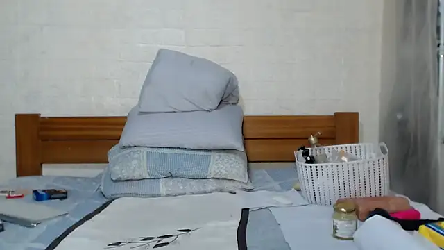 awild_kitten webcam