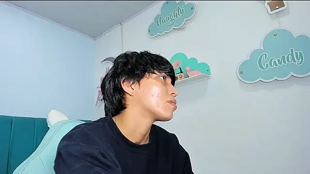 ivyheat3 webcam
