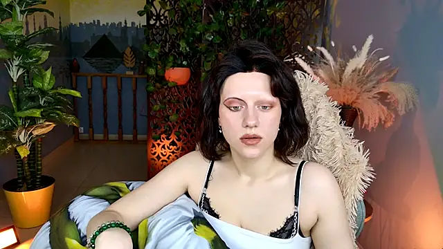 LidaDarknet webcam