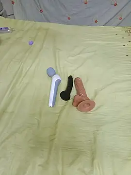 Saso-4 webcam