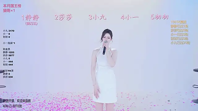 TY-002 webcam