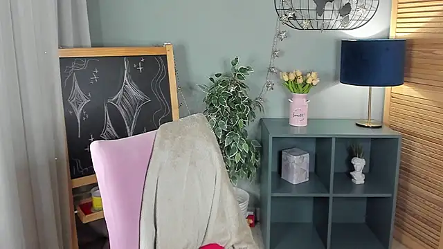 nortellii webcam