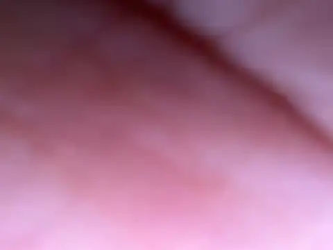 Hersheykaur webcam