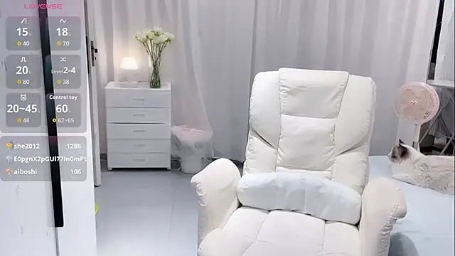 Nabi518-- webcam