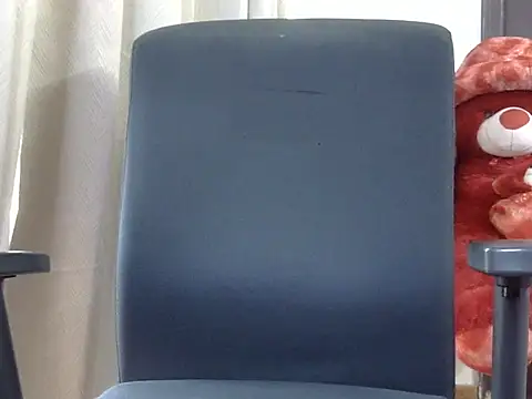 lvey_lva webcam