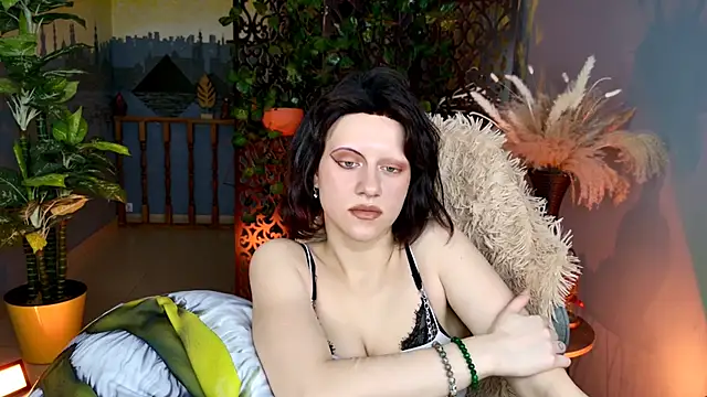 LidaDarknet webcam