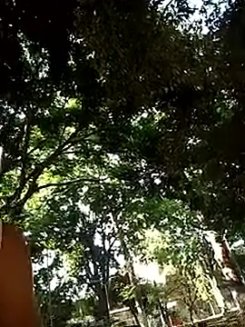 Andres_sant_ webcam