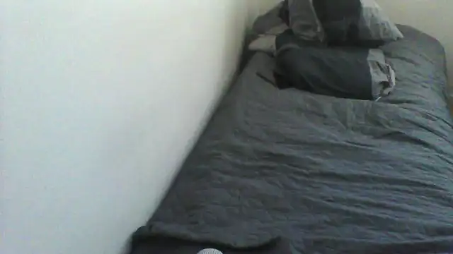 Tstreck1 webcam