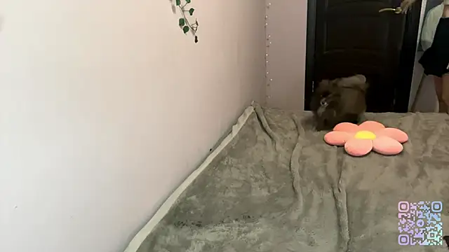 milimoon webcam