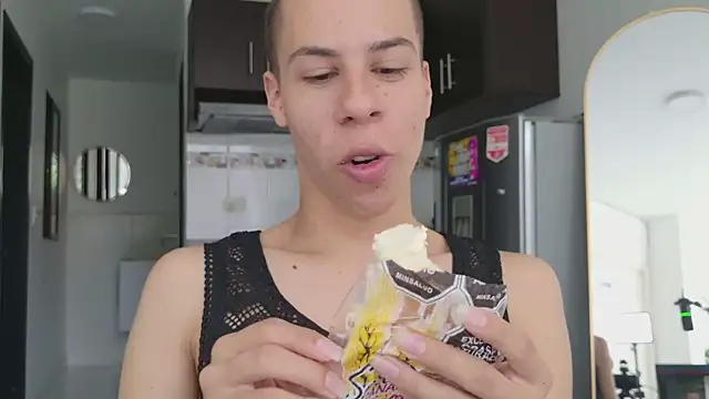 grey___27 webcam
