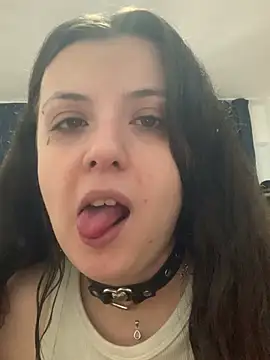 bunnythetailor webcam