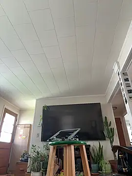 SpaceCowWhore webcam