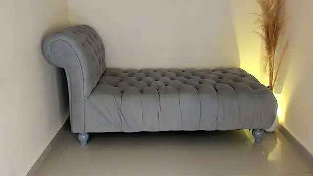 Gysel_flyn webcam