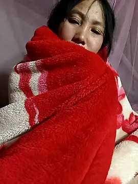 vesla-2k webcam