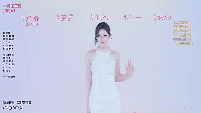 TY-002 webcam