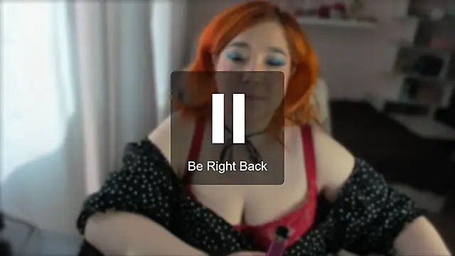 Vi-Vixen webcam
