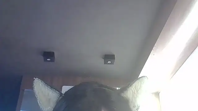 SkinnyKitten webcam