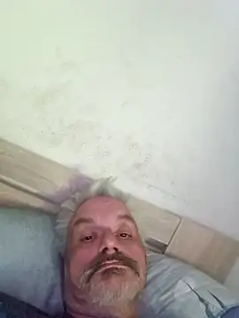 Fonse1860 webcam