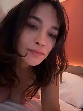 DarkDesin webcam