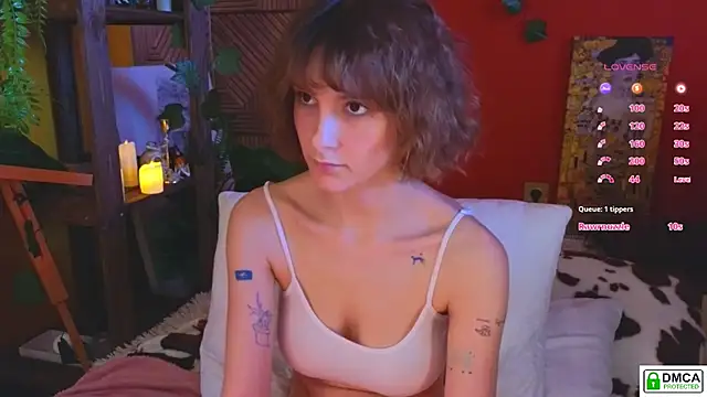 soft_animal_ webcam