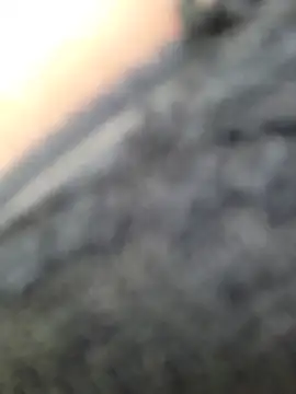 VickyHoult webcam
