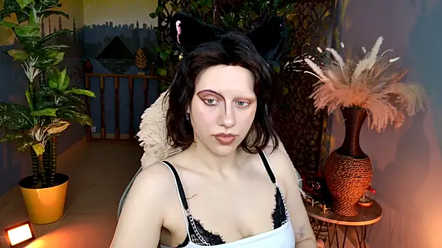 LidaDarknet webcam